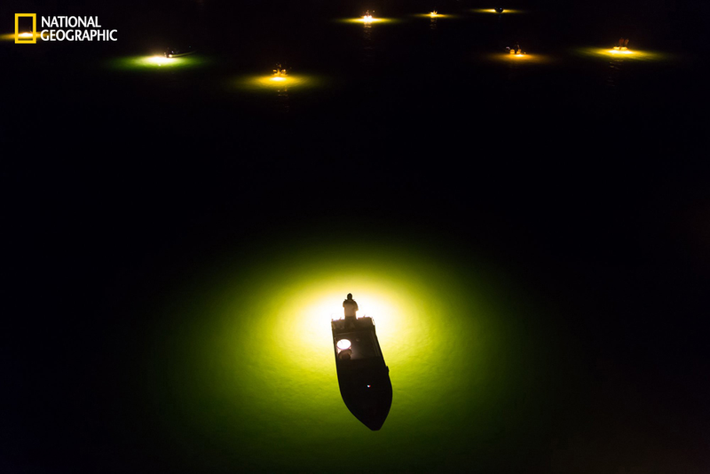 Illustration for article titled Luminous Nature Photographs Will Restore Your Sense of Wonder